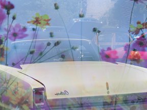 Vintage Cars — photograph 03