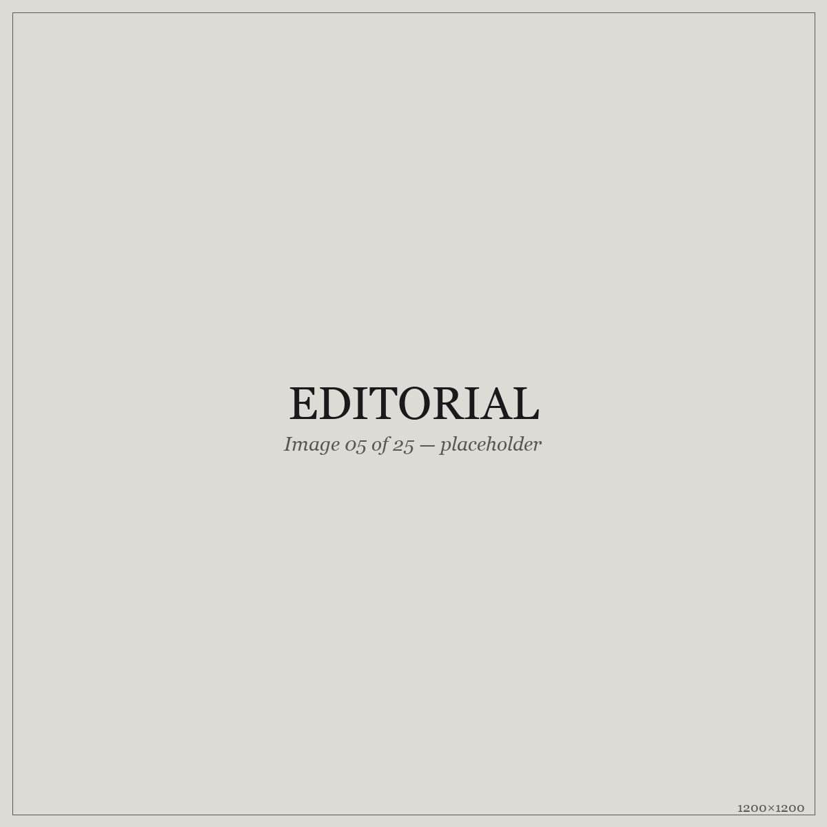 Editorial — placeholder image 05