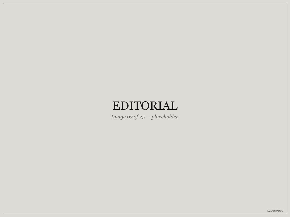 Editorial — placeholder image 07