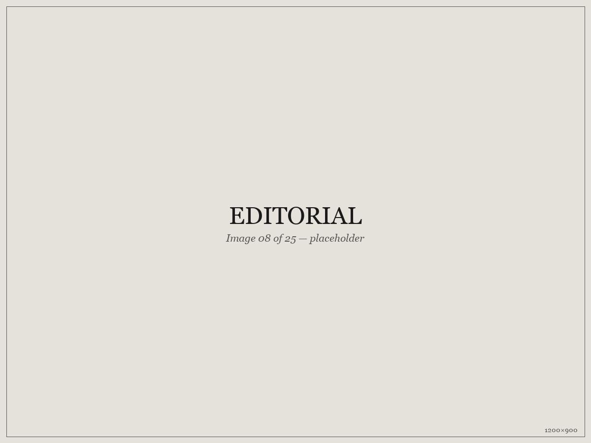 Editorial — placeholder image 08