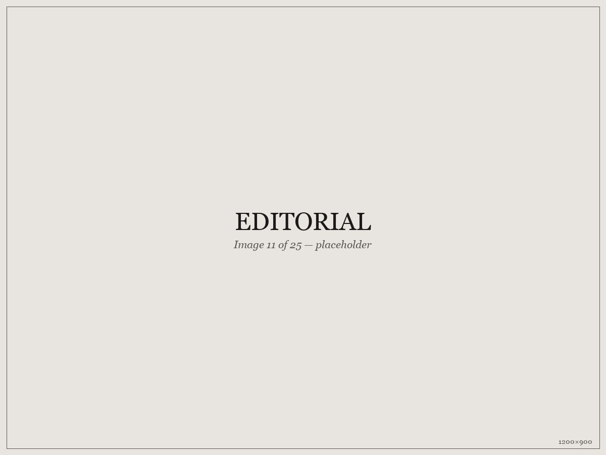 Editorial — placeholder image 11