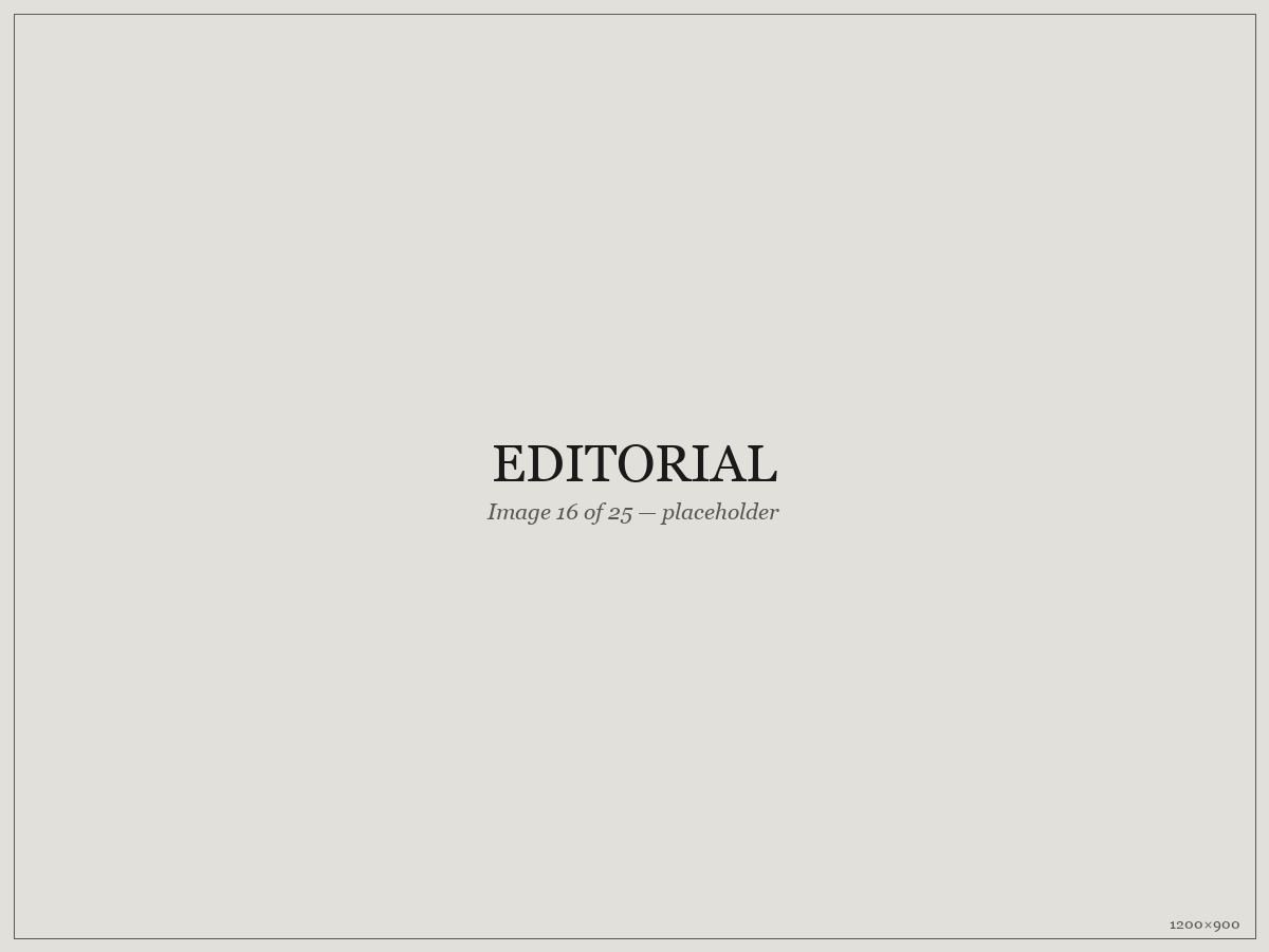 Editorial — placeholder image 16