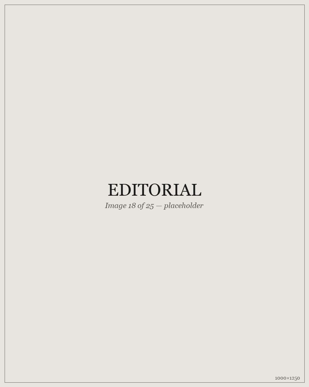 Editorial — placeholder image 18