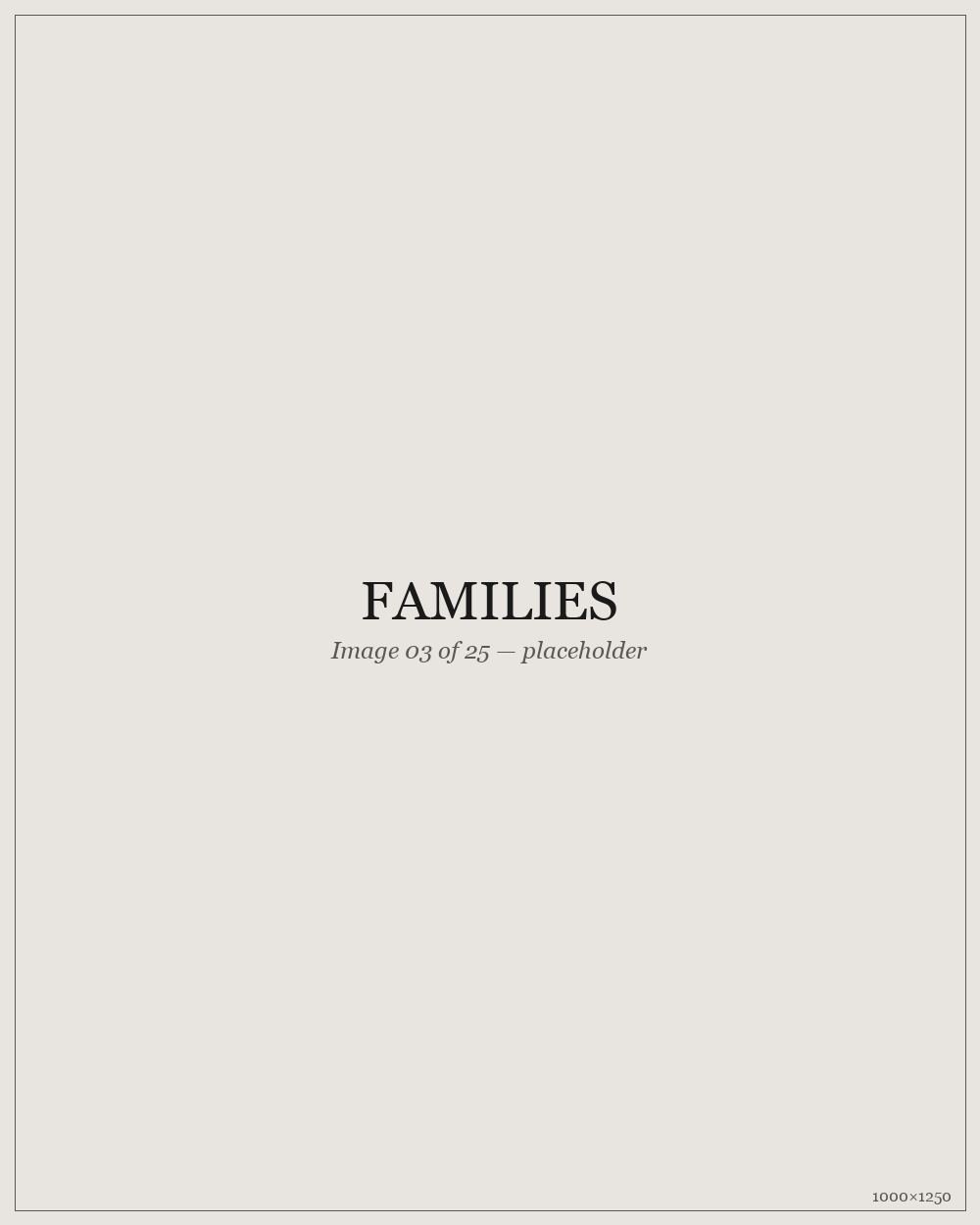Families — placeholder image 03