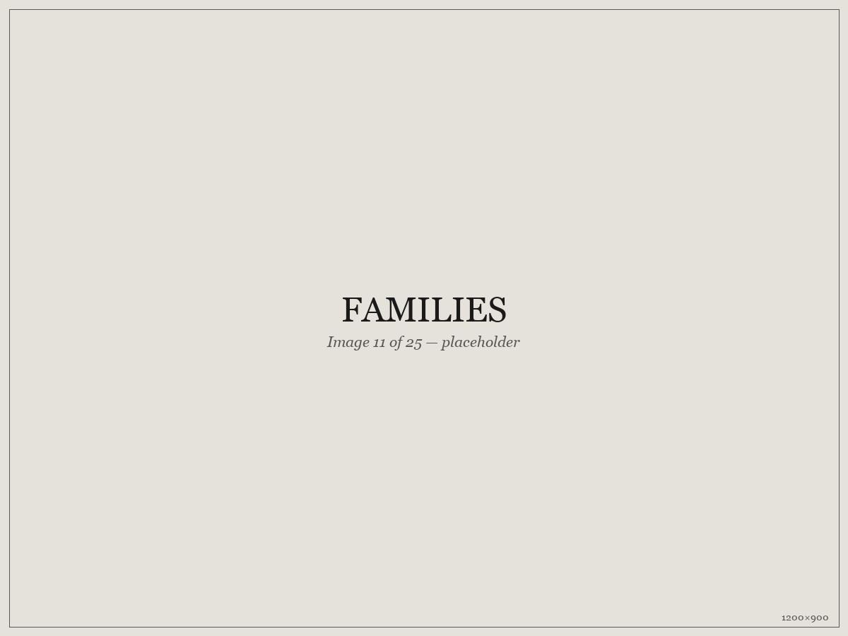 Families — placeholder image 11