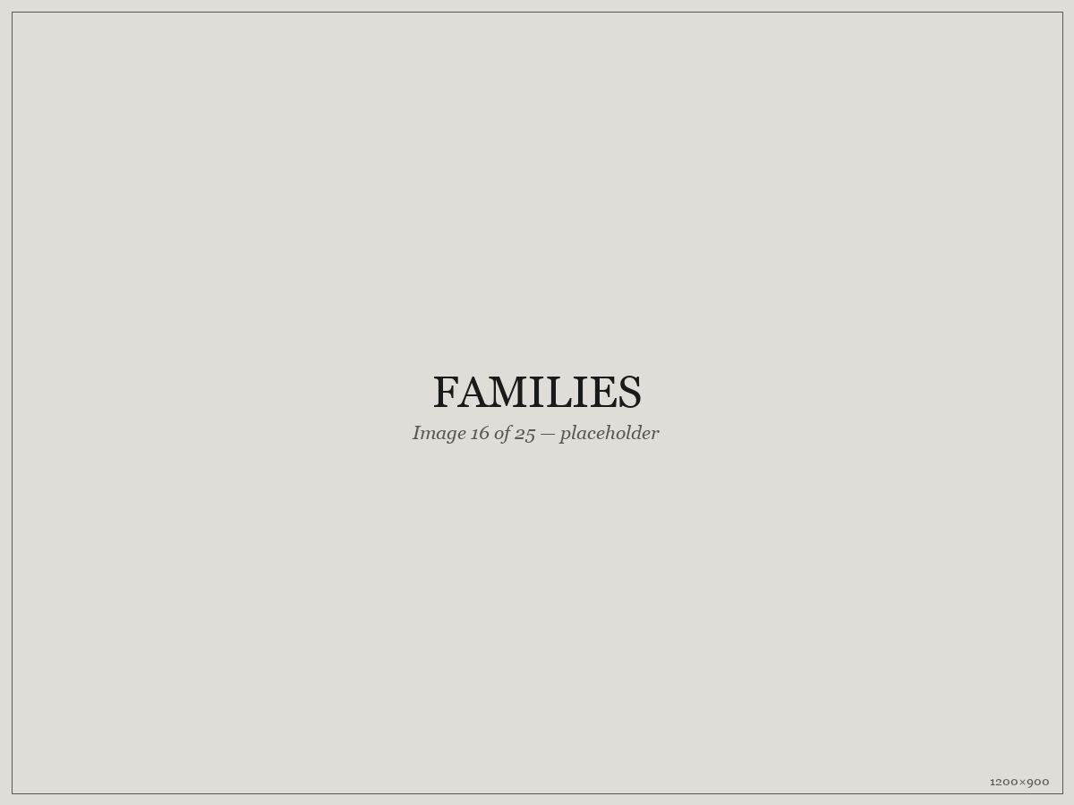 Families — placeholder image 16