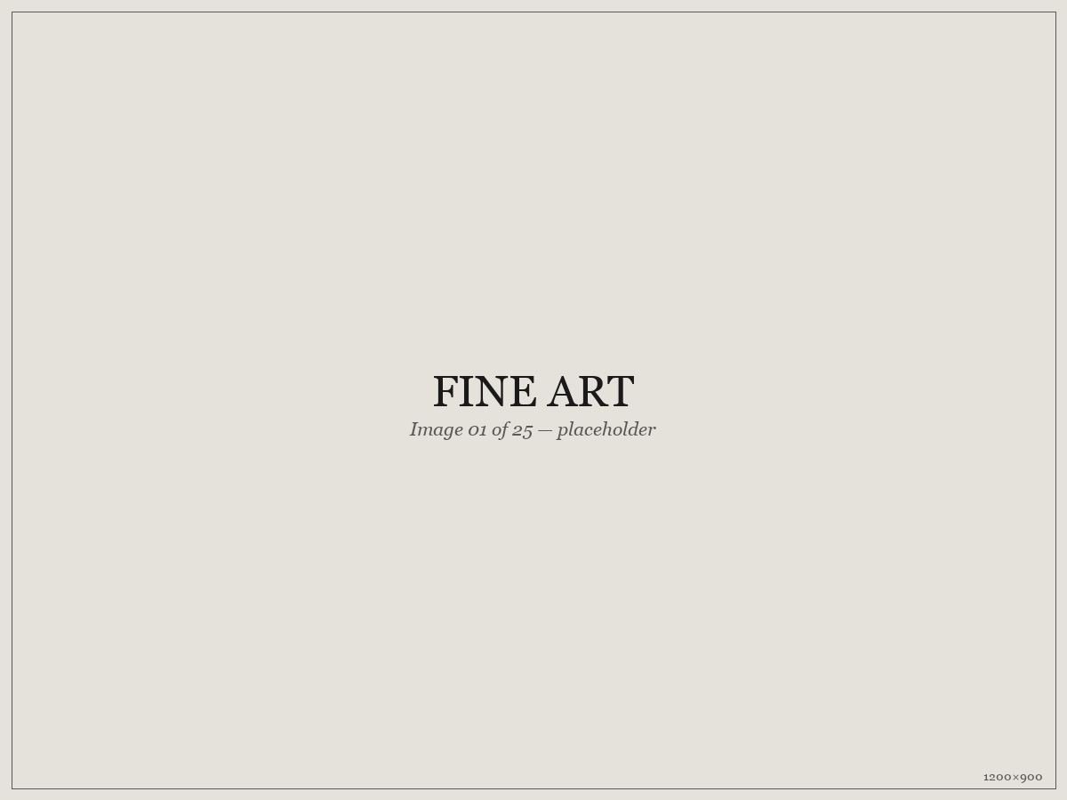 Fine Art — placeholder image 01