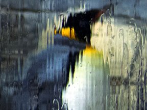 New York — photograph 24