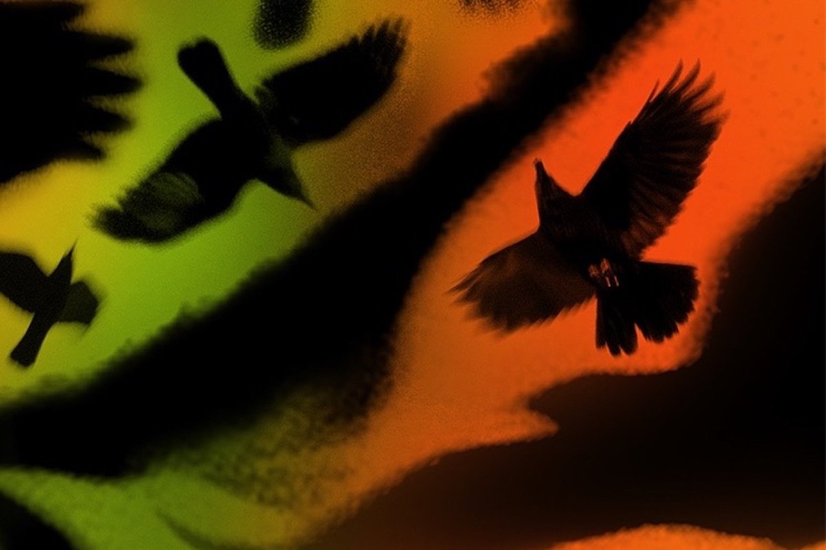 Crow & Raven portfolio cover